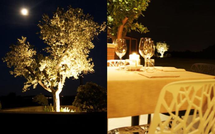 Agriturismo Colombarino Villa เดเซนซาโนเดลการ์ดา ภายนอก รูปภาพ